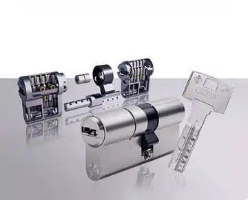 Bombines en Fuenlabrada